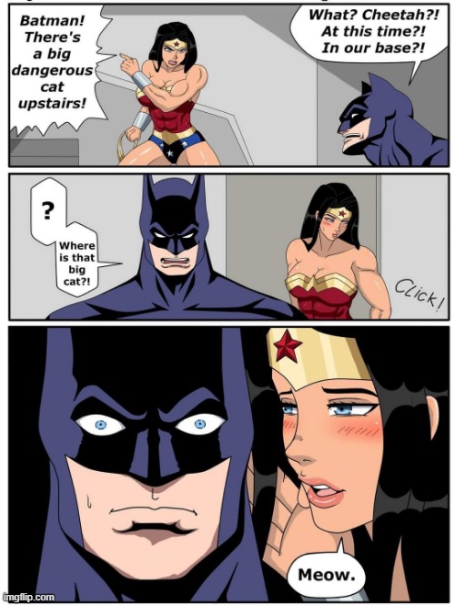 Meow Wonder | image tagged in wonder woman,batman | made w/ Imgflip meme maker