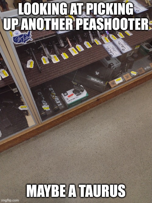 22magnum | LOOKING AT PICKING UP ANOTHER PEASHOOTER; MAYBE A TAURUS | made w/ Imgflip meme maker
