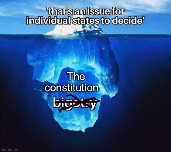 Facts. Progressives hate those | The constitution | image tagged in politics lol,memes | made w/ Imgflip meme maker