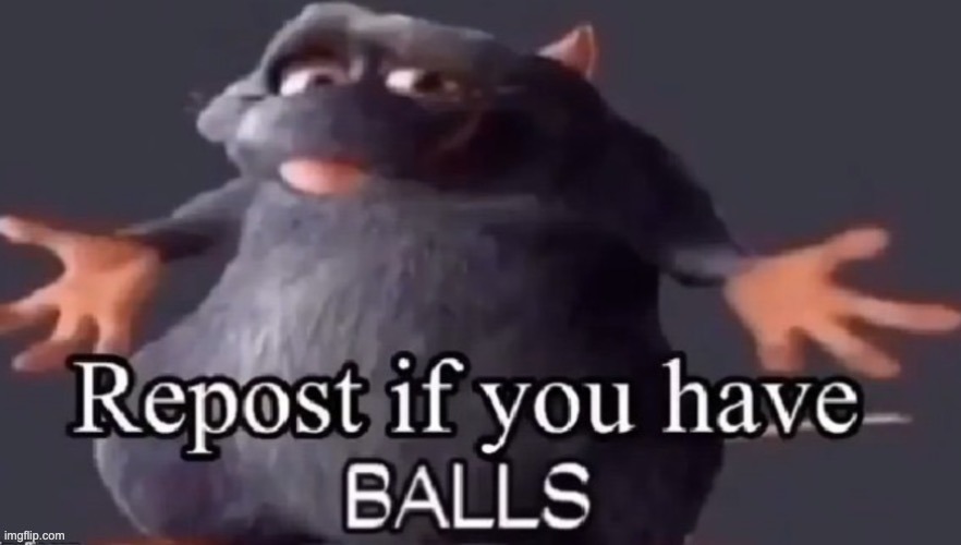 repost if you have balls | image tagged in balls | made w/ Imgflip meme maker