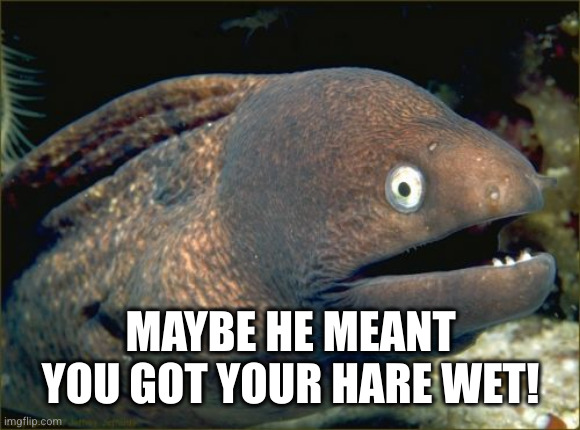 Bad Joke Eel Meme | MAYBE HE MEANT YOU GOT YOUR HARE WET! | image tagged in memes,bad joke eel | made w/ Imgflip meme maker