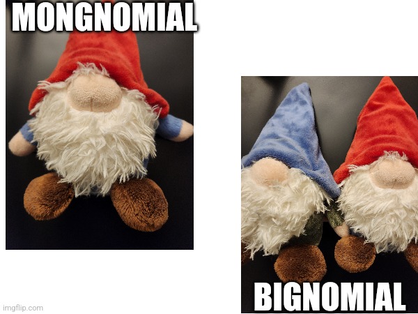 Bignomial | MONGNOMIAL; BIGNOMIAL | image tagged in math | made w/ Imgflip meme maker