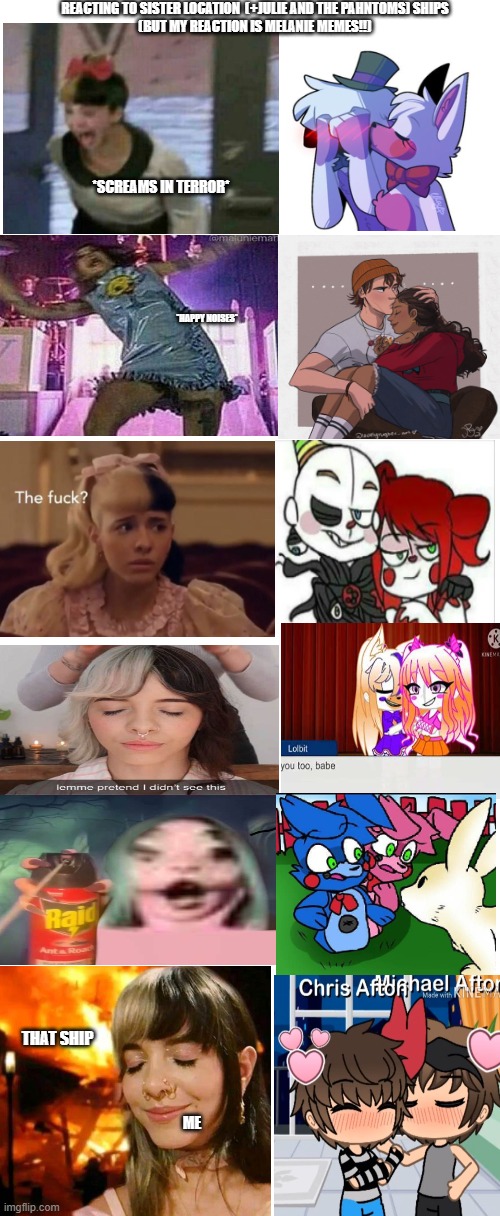 My reaction to FNaF ships but my reactions are Melanie <3 | REACTING TO SISTER LOCATION  (+JULIE AND THE PAHNTOMS) SHIPS
(BUT MY REACTION IS MELANIE MEMES!!); *SCREAMS IN TERROR*; *HAPPY NOISES*; THAT SHIP; ME | image tagged in fnaf,fnaf sister location,melanie martinez,follow me | made w/ Imgflip meme maker