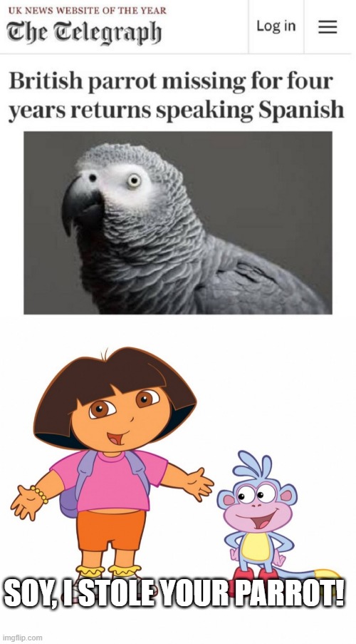 Swiper No Swiping | SOY, I STOLE YOUR PARROT! | image tagged in dora the explorer | made w/ Imgflip meme maker