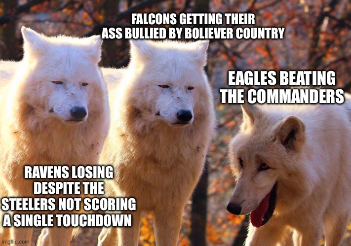 Ah yes, Bird play football | FALCONS GETTING THEIR ASS BULLIED BY BOLIEVER COUNTRY; EAGLES BEATING THE COMMANDERS; RAVENS LOSING DESPITE THE STEELERS NOT SCORING A SINGLE TOUCHDOWN | image tagged in 2 serious and 1 laughing wolves | made w/ Imgflip meme maker