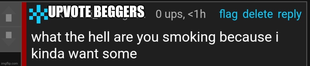 what the hell are you smoking because i kinda want some | UPVOTE BEGGERS | image tagged in what the hell are you smoking because i kinda want some | made w/ Imgflip meme maker