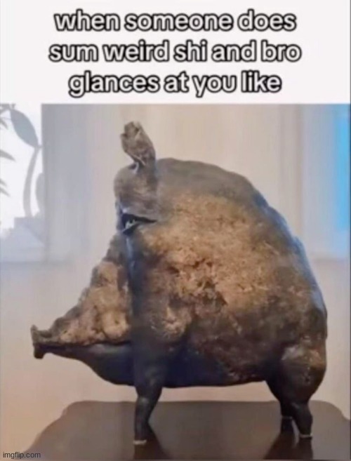 hog | image tagged in gifs,memes,funny,shitpost,statue,bro | made w/ Imgflip meme maker