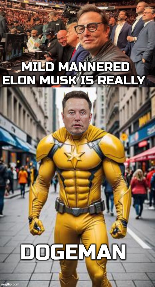 elon musk | MILD MANNERED ELON MUSK IS REALLY; DOGEMAN | image tagged in doge | made w/ Imgflip meme maker