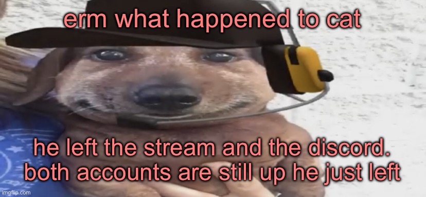 chucklenuts | erm what happened to cat; he left the stream and the discord. both accounts are still up he just left | image tagged in chucklenuts | made w/ Imgflip meme maker