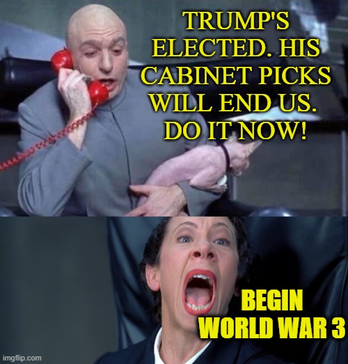 Begin WWIII | TRUMP'S ELECTED. HIS CABINET PICKS WILL END US. 
DO IT NOW! BEGIN WORLD WAR 3 | image tagged in dr evil and frau | made w/ Imgflip meme maker