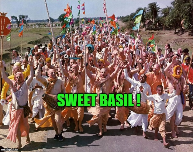 Hare Krishna | SWEET BASIL ! | image tagged in hare krishna | made w/ Imgflip meme maker