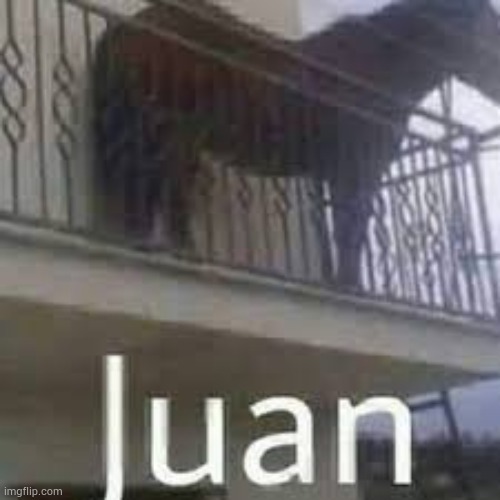 Juan | image tagged in juan | made w/ Imgflip meme maker