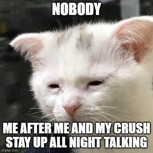 hey hes cute xo its worth it | NOBODY; ME AFTER ME AND MY CRUSH STAY UP ALL NIGHT TALKING | image tagged in i'm awake but at what cost | made w/ Imgflip meme maker