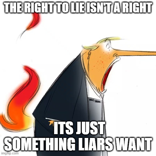 trump lies again | THE RIGHT TO LIE ISN'T A RIGHT; ITS JUST SOMETHING LIARS WANT | image tagged in trump lies again | made w/ Imgflip meme maker