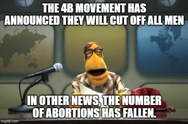 Muppet News Flash | THE 4B MOVEMENT HAS ANNOUNCED THEY WILL CUT OFF ALL MEN IN OTHER NEWS, THE NUMBER OF ABORTIONS HAS FALLEN. | image tagged in muppet news flash | made w/ Imgflip meme maker