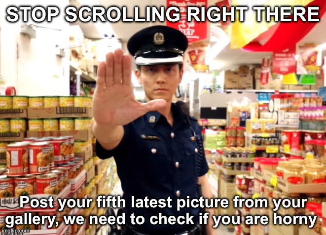 Horny check | STOP SCROLLING RIGHT THERE; Post your fifth latest picture from your gallery, we need to check if you are horny | image tagged in singapore police stop | made w/ Imgflip meme maker