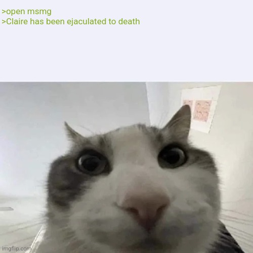 green text cat | >open msmg
>Claire has been ejaculated to death | image tagged in green text cat | made w/ Imgflip meme maker