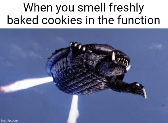 Gamera meme about cookies | When you smell freshly baked cookies in the function | image tagged in gamera,cookies | made w/ Imgflip meme maker