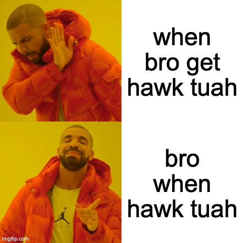 hawk tuh fein | when bro get hawk tuah; bro when hawk tuah | image tagged in memes,drake hotline bling | made w/ Imgflip meme maker