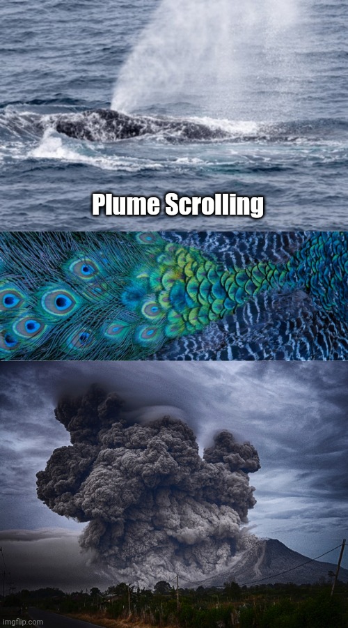 Plume Scrolling | Plume Scrolling | image tagged in fun | made w/ Imgflip meme maker