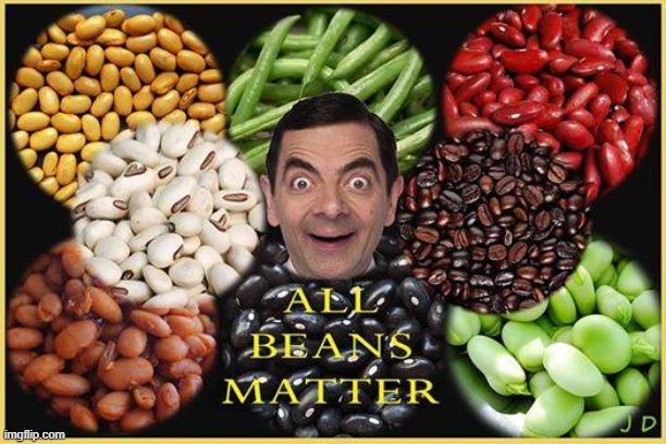 Mr. Bean asks, "Can you name all 7?" | image tagged in vince vance,mr bean,mister bean,all,beans,matter | made w/ Imgflip meme maker