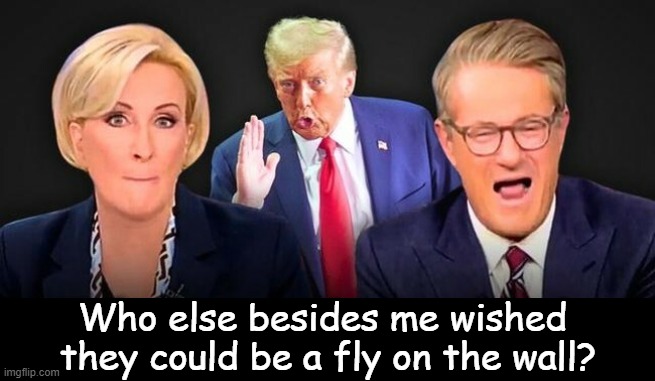 A W K W A R D !!! | Who else besides me wished 
they could be a fly on the wall? | image tagged in the odd couple,joe and mika,fake people,fair weather friends,hope trump told them what losers they are,political humor | made w/ Imgflip meme maker