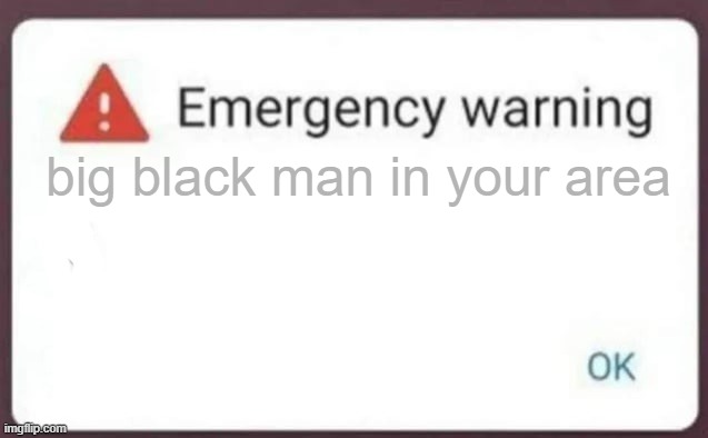 Emergency Warning | big black man in your area | image tagged in emergency warning | made w/ Imgflip meme maker