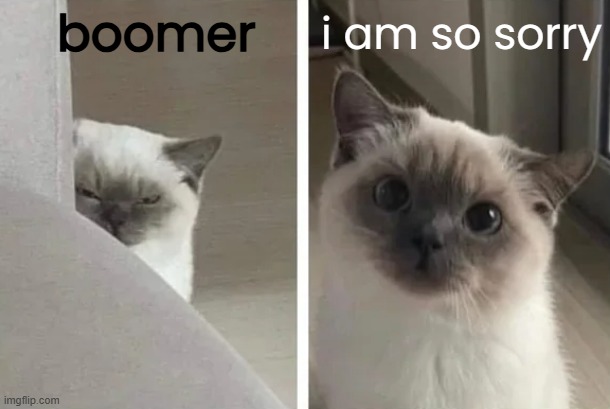 boomer i am so sorry | made w/ Imgflip meme maker