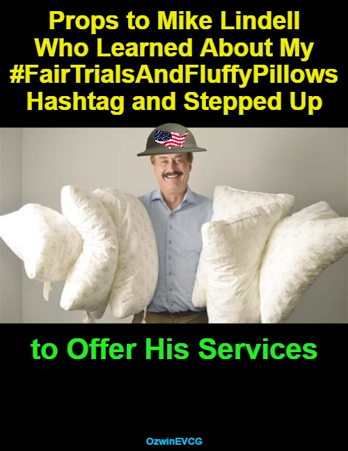 : "Is This What You Meant?" : "Well... Yes... Kinda." | Props to Mike Lindell 

Who Learned About My 

#FairTrialsAndFluffyPillows 

Hashtag and Stepped Up; to Offer His Services; OzwinEVCG | image tagged in political humor,mike lindell,my pillow,occupied usa,rule of law,fair trials and fluffy pillows | made w/ Imgflip meme maker