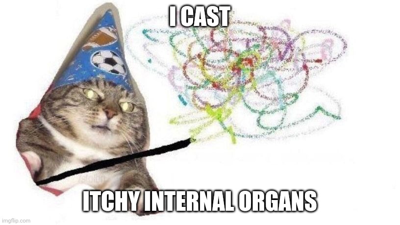 Just be thankful they don't | I CAST; ITCHY INTERNAL ORGANS | image tagged in wizard cat | made w/ Imgflip meme maker