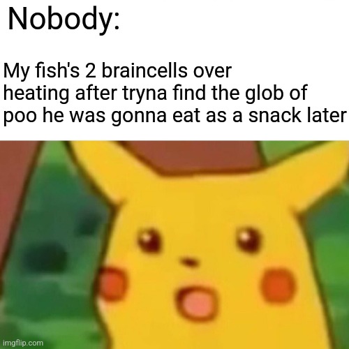 Poo. | Nobody:; My fish's 2 braincells over heating after tryna find the glob of poo he was gonna eat as a snack later | image tagged in memes,surprised pikachu | made w/ Imgflip meme maker