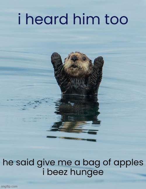 i heard him too he said give me a bag of apples
i beez hungee | made w/ Imgflip meme maker