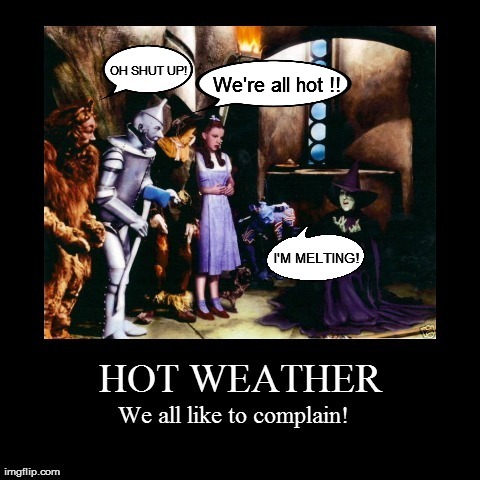 Some complain more than others! | We're all hot !! | image tagged in weather,funny | made w/ Imgflip meme maker