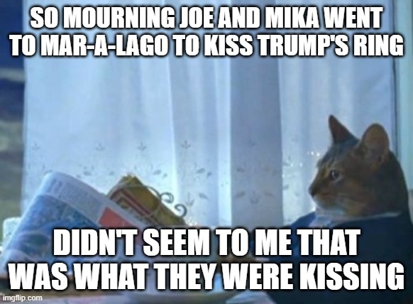 gutless | SO MOURNING JOE AND MIKA WENT TO MAR-A-LAGO TO KISS TRUMP'S RING; DIDN'T SEEM TO ME THAT WAS WHAT THEY WERE KISSING | image tagged in memes,i should buy a boat cat | made w/ Imgflip meme maker