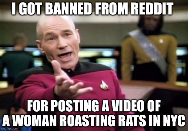 startrek | I GOT BANNED FROM REDDIT FOR POSTING A VIDEO OF A WOMAN ROASTING RATS IN NYC | image tagged in startrek | made w/ Imgflip meme maker