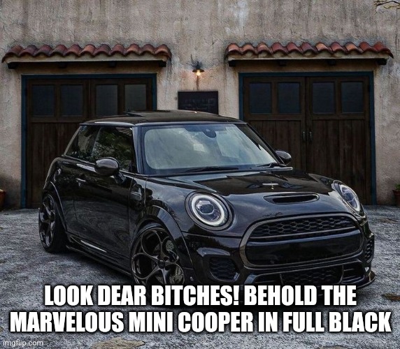 LOOK DEAR BITCHES! BEHOLD THE MARVELOUS MINI COOPER IN FULL BLACK | made w/ Imgflip meme maker