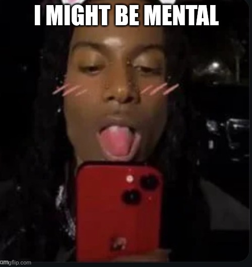 I MIGHT BE MENTAL | made w/ Imgflip meme maker