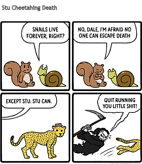 Stu the Cheetah's run from Death | Stu Cheetahing Death | image tagged in memes,dark humor,snail,cartoon,death | made w/ Imgflip meme maker