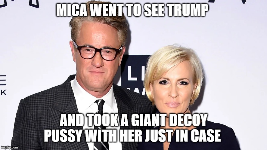 MICA WENT TO SEE TRUMP; AND TOOK A GIANT DECOY PUSSY WITH HER JUST IN CASE | made w/ Imgflip meme maker