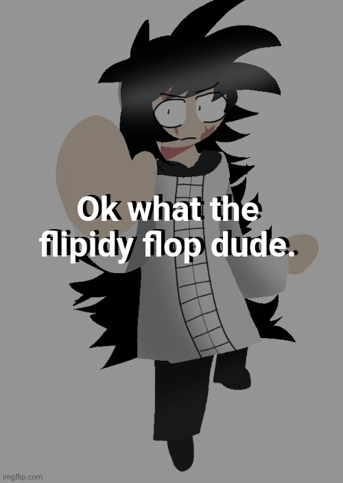 Ok what the flipidy flop dude. Ok what the flipidy flop dude. | made w/ Imgflip meme maker