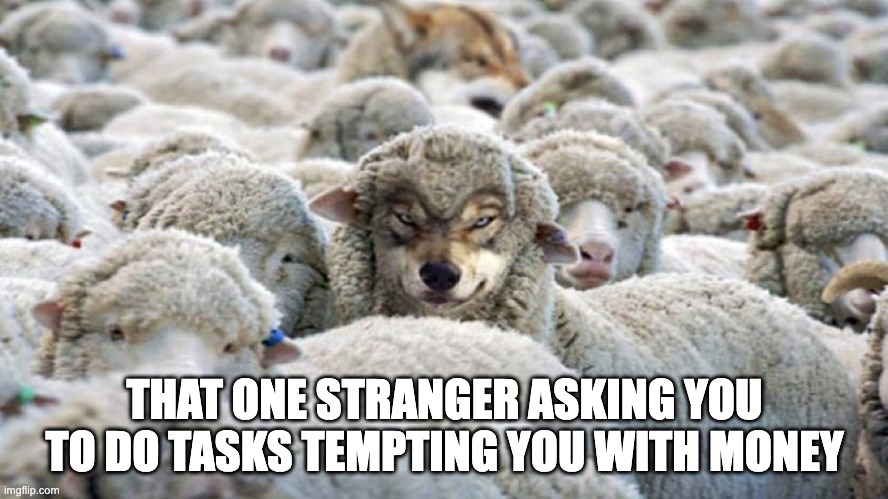 scammers in crypto | THAT ONE STRANGER ASKING YOU TO DO TASKS TEMPTING YOU WITH MONEY | image tagged in wolf in sheep s clothing | made w/ Imgflip meme maker