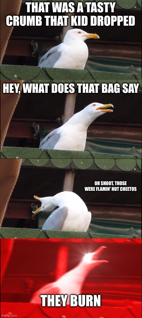 Seagull | THAT WAS A TASTY CRUMB THAT KID DROPPED; HEY, WHAT DOES THAT BAG SAY; OH SHOOT, THOSE WERE FLAMIN' HOT CHEETOS; THEY BURN | image tagged in memes,inhaling seagull | made w/ Imgflip meme maker