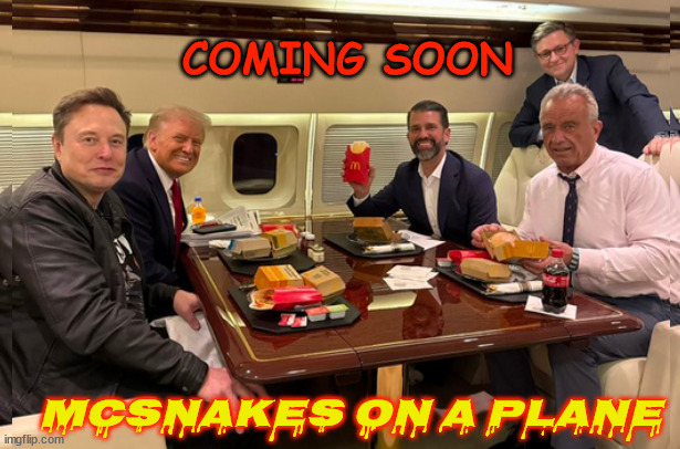 McSnakes on a plane | COMING SOON; MCSNAKES ON A PLANE | image tagged in rfk i've had better roadkill,my dad made these fries,mike they forgot i was here,musk i'm glade the plane has living pilots | made w/ Imgflip meme maker