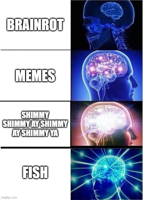 Expanding Brain | BRAINROT; MEMES; SHIMMY SHIMMY AY SHIMMY AY SHIMMY YA; FISH | image tagged in memes,expanding brain | made w/ Imgflip meme maker