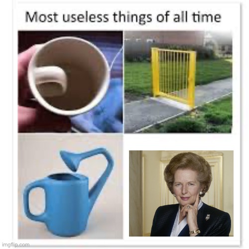 She is useless. | image tagged in most useless things | made w/ Imgflip meme maker