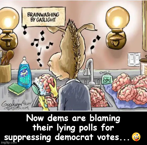 Their latest excuse... blame the lib polls for suppressing the democrat vote. | Now dems are blaming their lying polls for suppressing democrat votes...? | image tagged in dems,blaming,liberal polls,for election loss | made w/ Imgflip meme maker