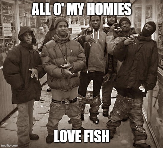 All My Homies Hate | ALL O' MY HOMIES; LOVE FISH | image tagged in all my homies hate | made w/ Imgflip meme maker