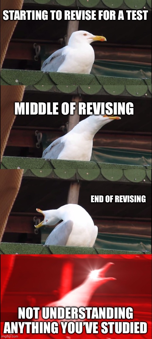 Studying | STARTING TO REVISE FOR A TEST; MIDDLE OF REVISING; END OF REVISING; NOT UNDERSTANDING ANYTHING YOU’VE STUDIED | image tagged in memes,inhaling seagull | made w/ Imgflip meme maker