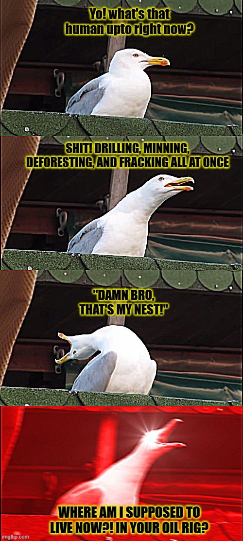 Inhaling Seagull | Yo! what's that human upto right now? SHIT! DRILLING, MINNING, DEFORESTING, AND FRACKING ALL AT ONCE; "DAMN BRO, THAT'S MY NEST!"; WHERE AM I SUPPOSED TO LIVE NOW?! IN YOUR OIL RIG? | image tagged in memes,inhaling seagull | made w/ Imgflip meme maker