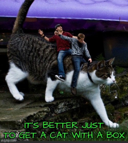 IT'S BETTER JUST TO GET A CAT WITH A BOX | made w/ Imgflip meme maker